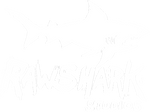 Rawshark Studios